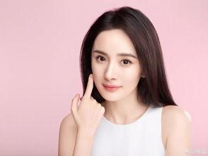 约明星网红从哪里约,揭秘网红约星秘籍