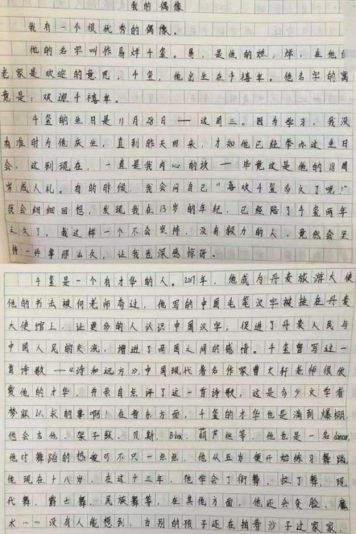 讨论如今明星网红的作文,明星网红现象的当代影响与反思