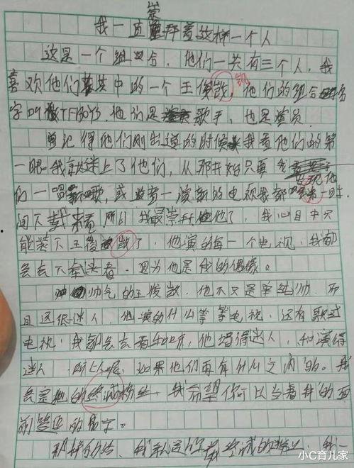 讨论如今明星网红的作文,明星网红现象的当代影响与反思