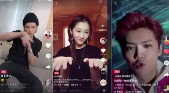明星网红高清视频网站,热门内容一网打尽