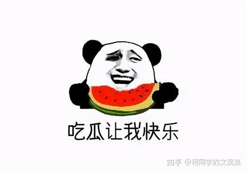 朝阳吃瓜群众今日吃瓜视频,今日热门吃瓜视频大揭秘