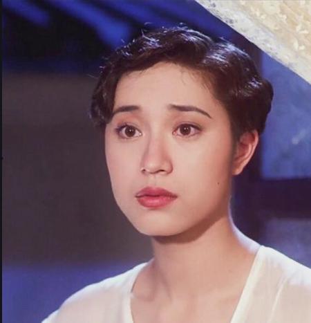 香港明星网红明星,璀璨星光下的网络影响力