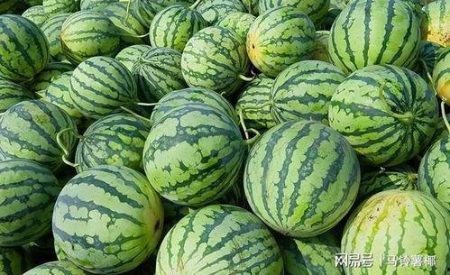 今日大瓜每日吃瓜图片,跟随吃瓜群众，揭秘娱乐圈最新动态