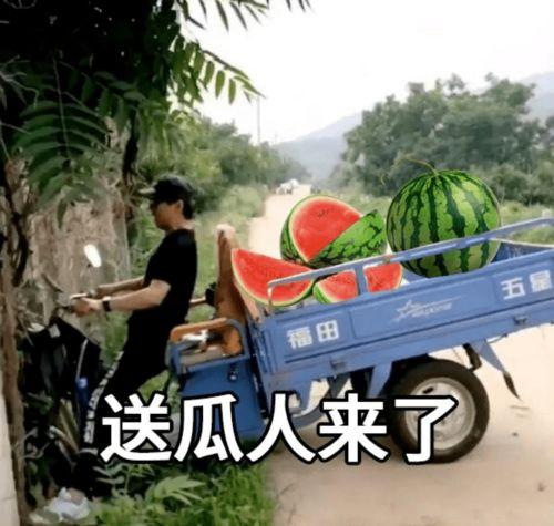 娱乐圈文案吃瓜,揭秘明星们的“吃瓜”大作战