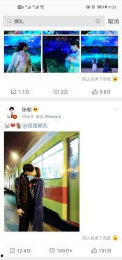 爆料看点吃瓜,爆料看点，吃瓜群众狂欢时刻
