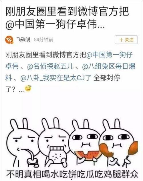 热门吃瓜事件汇总,揭秘娱乐圈、社会热点背后的真相