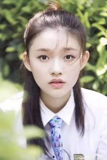 明星网红村黄琴杨少,网红村崛起的明星之路
