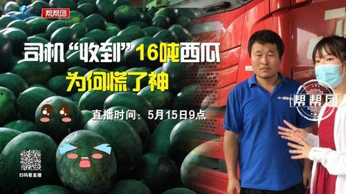 吃瓜爆料今日,吃瓜爆料，明星幕后故事大曝光