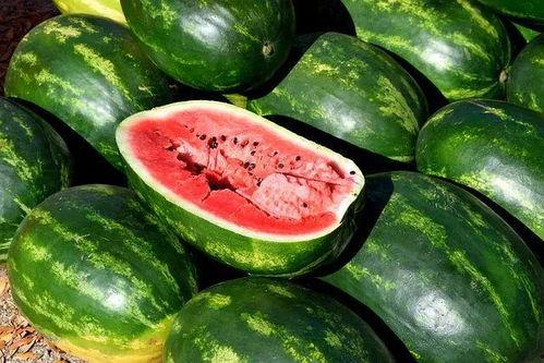热门吃瓜新闻素材,揭秘最新吃瓜大事件！