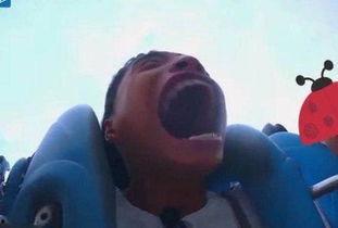 今日吃瓜吃故事王,吃瓜群众揭秘故事王背后的秘密