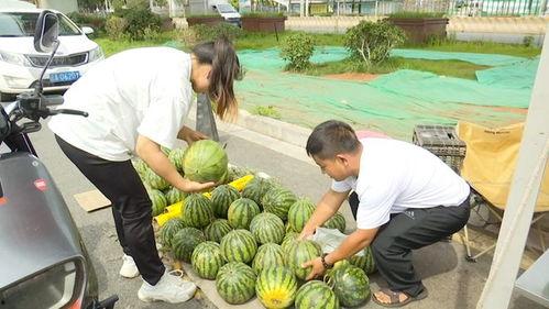 吃瓜网站黑科,吃瓜网站背后的真相与争议