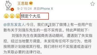 娱乐圈吃瓜论文,揭秘明星背后的真相与八卦