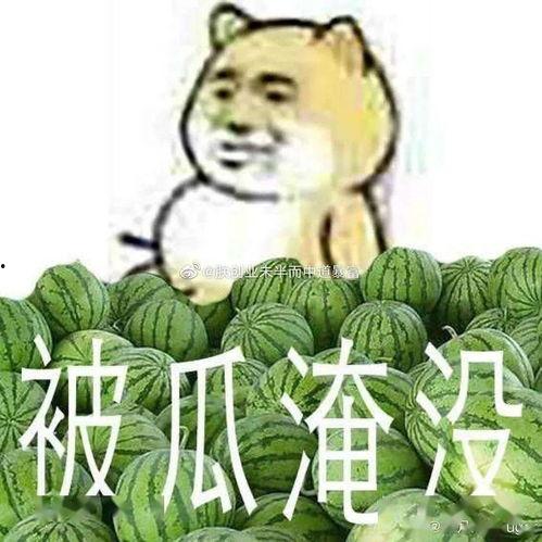黑料吃瓜吗,跟随“黑料吃瓜”探寻明星幕后真相