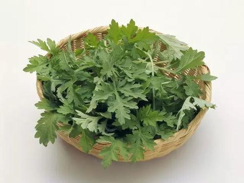 吃瓜爆料艾草,揭秘吃瓜爆料背后的真相