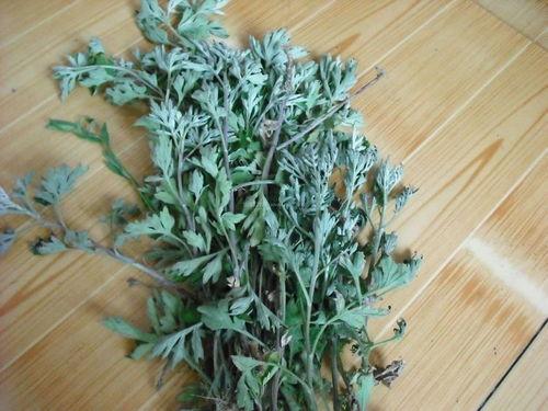 吃瓜爆料艾草,揭秘吃瓜爆料背后的真相