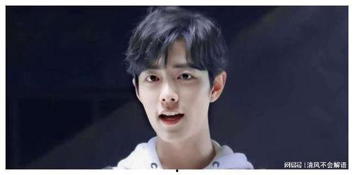 三十多岁男明星网红排名,盘点最具人气与影响力的网络红人