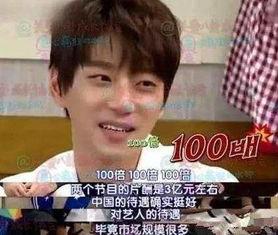 明星网红年挣多少钱,明星网红年入百万，揭秘他们的财富密码