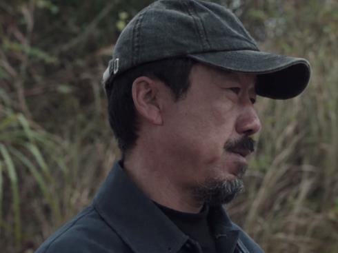 扫黑风暴吃瓜,揭秘背后吃瓜群众的狂欢与反思