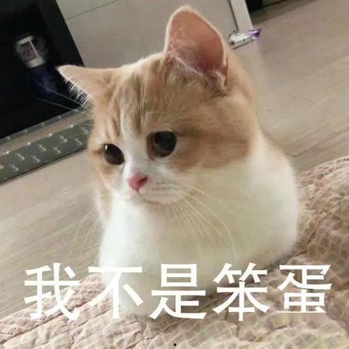 众多明星网红直播翻车了,明星网红如何应对意外“翻车”瞬间