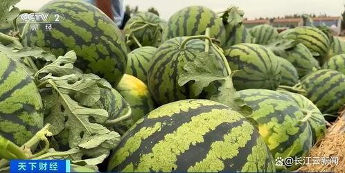 全网最新热门吃瓜,最新热门吃瓜事件大盘点！