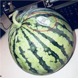 网红吃瓜热门,揭秘娱乐圈最新热点事件