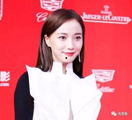 英语软件明星网红代言图,Top English Software Influencers: A Showcase of Celebrity Endorsements