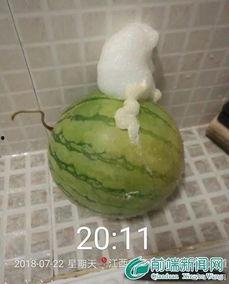泡泡吃瓜热门事件,揭秘热门事件背后的真相与争议