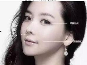 北京给明星网红做律师,为明星网红保驾护航的法律守护者
