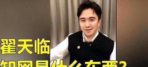 明星网红文盲,明星界的独特现象解析