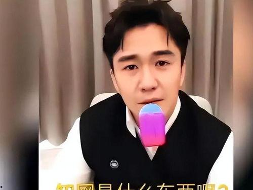 明星网红文盲,明星界的独特现象解析