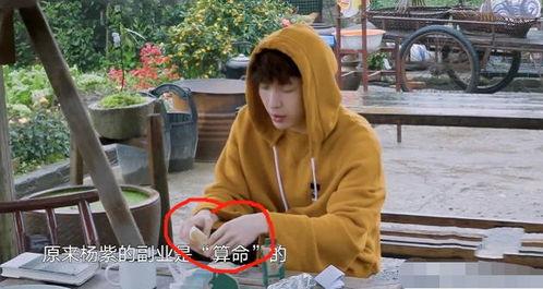 撞脸明星网红张艺兴是谁,揭秘与张艺兴神似的人气网红