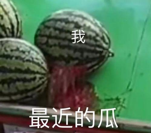 五一吃瓜今日吃瓜在线