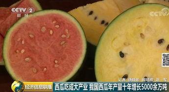 今日大瓜51吃瓜群众,吃瓜群众热议焦点