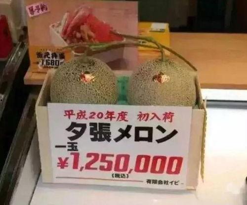 今日大瓜51吃瓜群众,吃瓜群众热议焦点