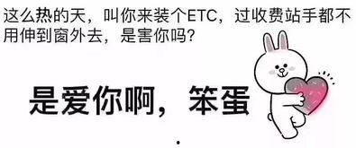 吃瓜点评热门文案,盘点热门文案背后的故事与真相