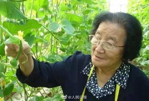 今日吃瓜必吃大瓜不打烊