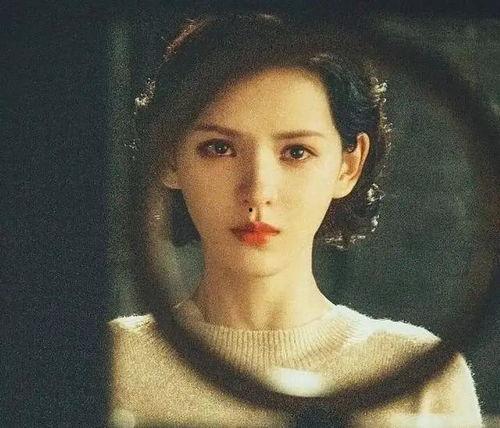 明星小明星网红,跨界融合下的璀璨星途