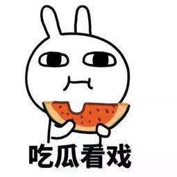 吃瓜热门在线观看