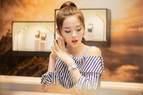 是明星网红的人有哪些呢,揭秘明星网红的璀璨阵容