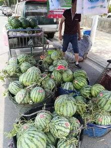 韩城热门吃瓜事件,热门吃瓜事件背后的真相揭秘