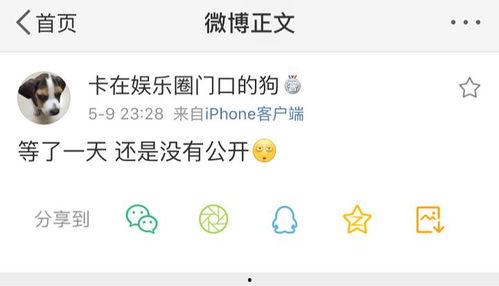 爆料吃瓜模板,某明星深夜密会神秘女子，真相令人震惊！