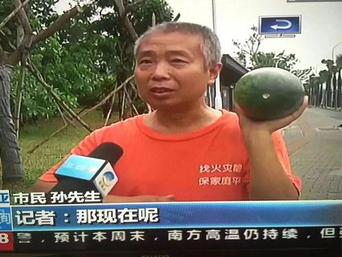 今日热门吃瓜事件,明星恋情曝光，幕后真相令人震惊！