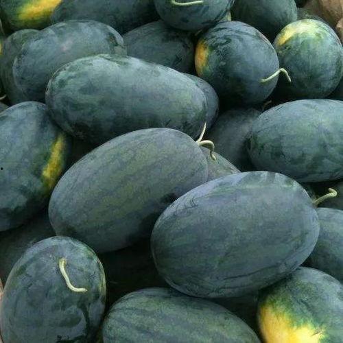 黑科吃瓜在线,揭秘校园热点事件背后的真相