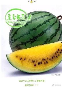 全球吃瓜爆料,揭秘娱乐圈幕后真相